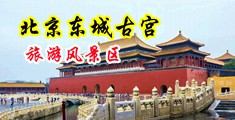美女被大几把操高潮中国北京-东城古宫旅游风景区