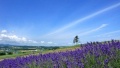 欧美黄色美女破处视频免费下载日本一地6日游  境外旅游 6880元/人
